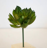 FD5059 ミニエケベリアピック　多肉植物造花　多肉　フェイクグリーン