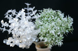 クリスタルユーカリバンドル 　造花　クリスマス